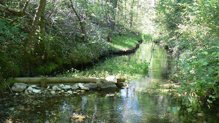 Photo adoux Glacière