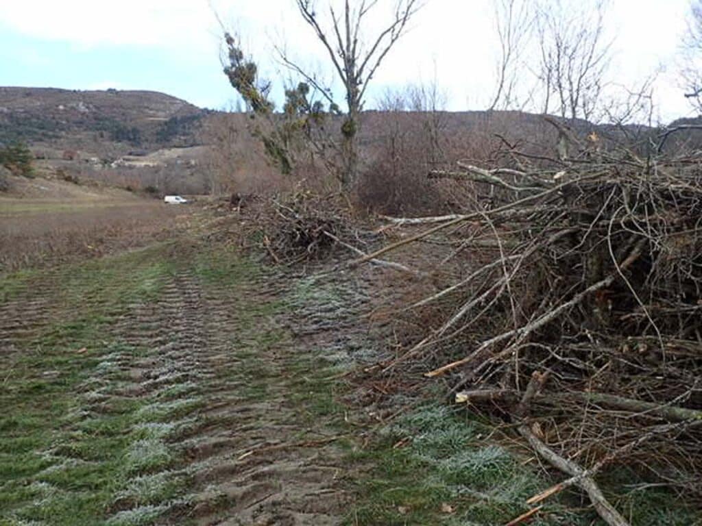 Ruisseau de Villefranche à Mévouillon, un volume important de bois morts encombrant a été extrait du lit