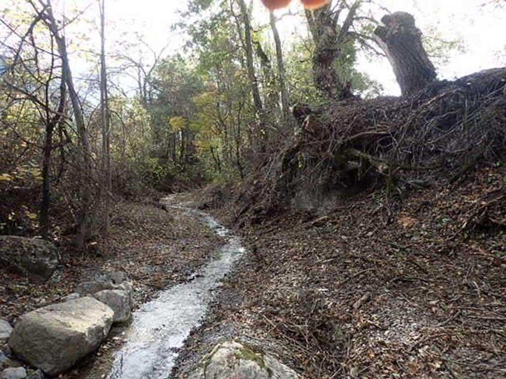 Rif de Saint Marcellin, après la réalisation de gros abattages; pied de talus broyés aux couteaux mécaniques.