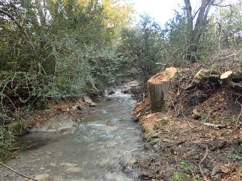 L'Aigue Vouluy à la Piarre, quelques gros abattages ont été réalisés