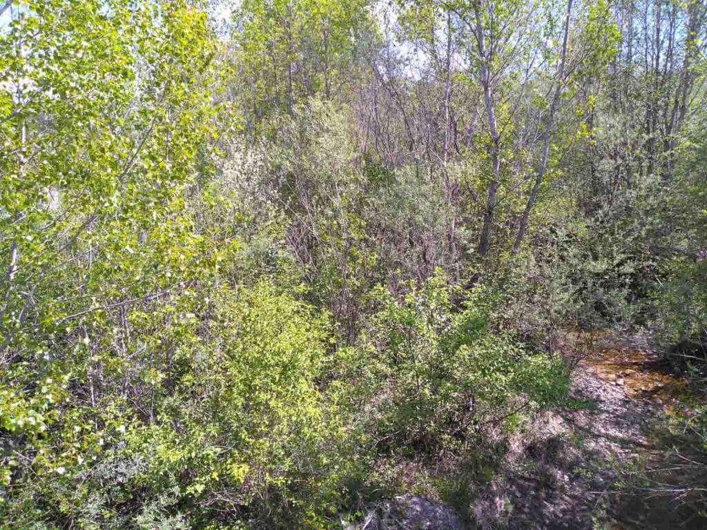 Ruisseau des Crupies à la Bâtie Montsaléon, aval du pont des Crupies avant travaux