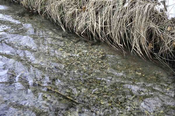 À la recherche des frayères de truites dans les adoux du Buëch